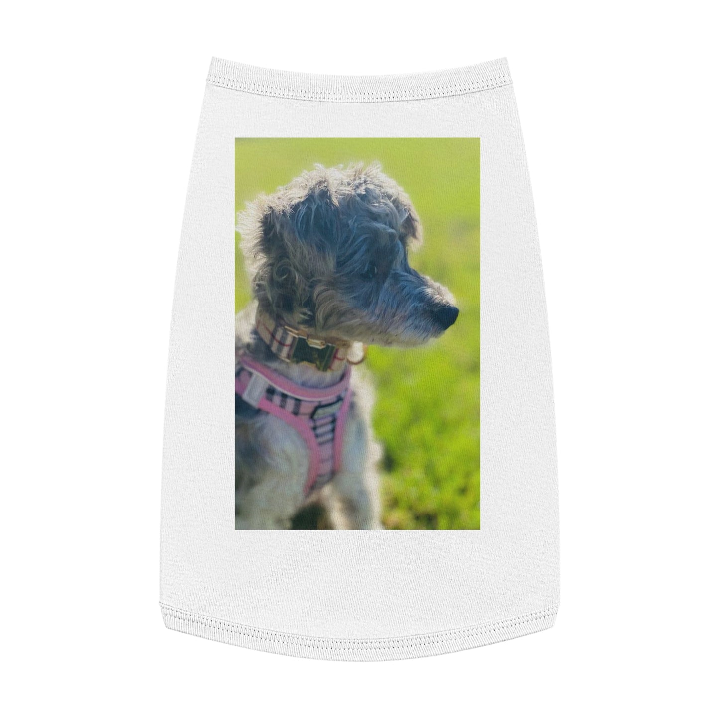 Pet Tank Top