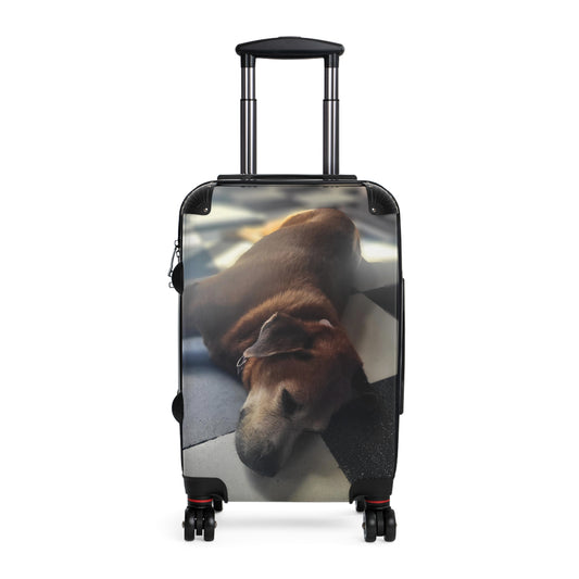 Aruban Lazy Dog - Alto Vista Chapel - Suitcase