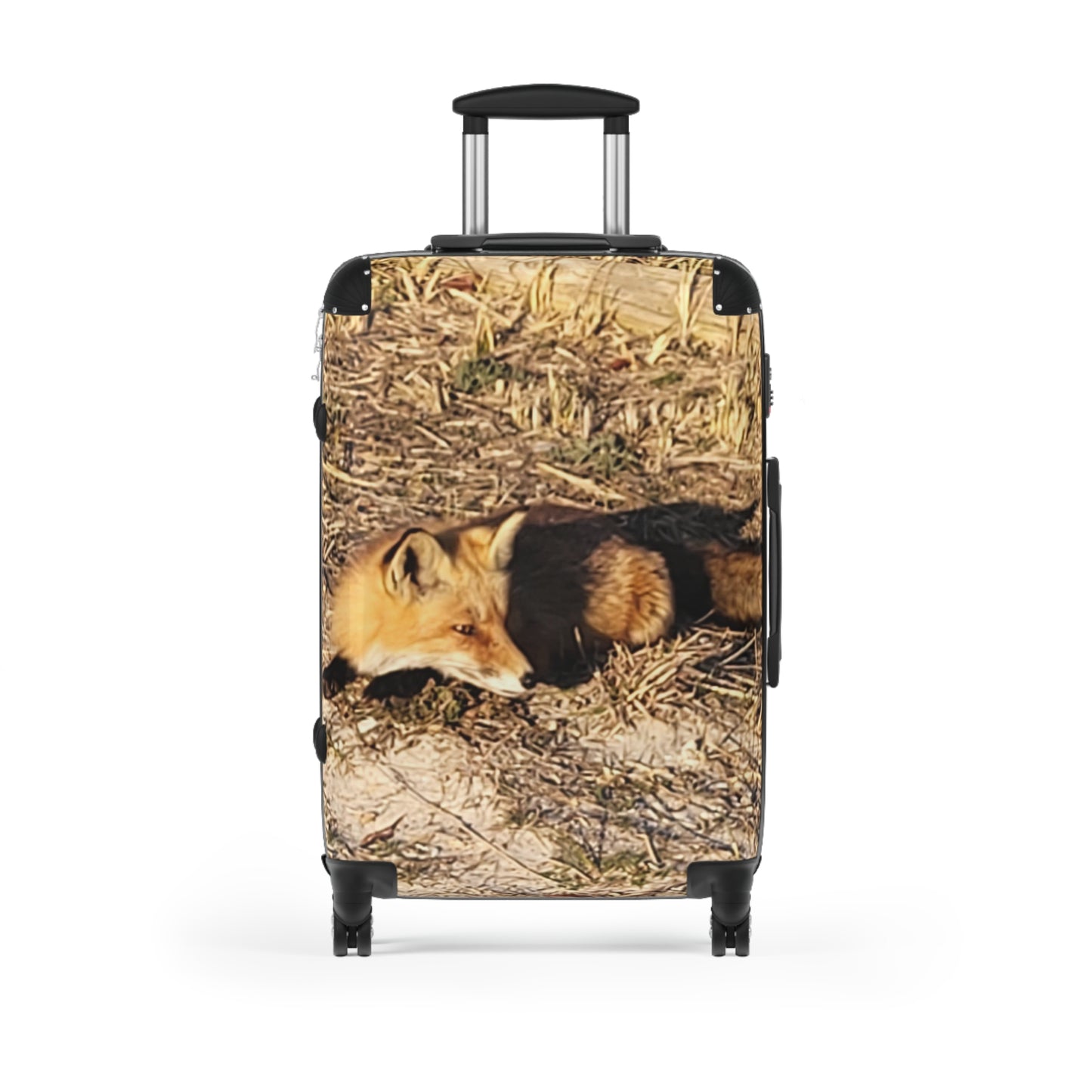 NJ Shore Fox - Island State Beach Park - Suitcase