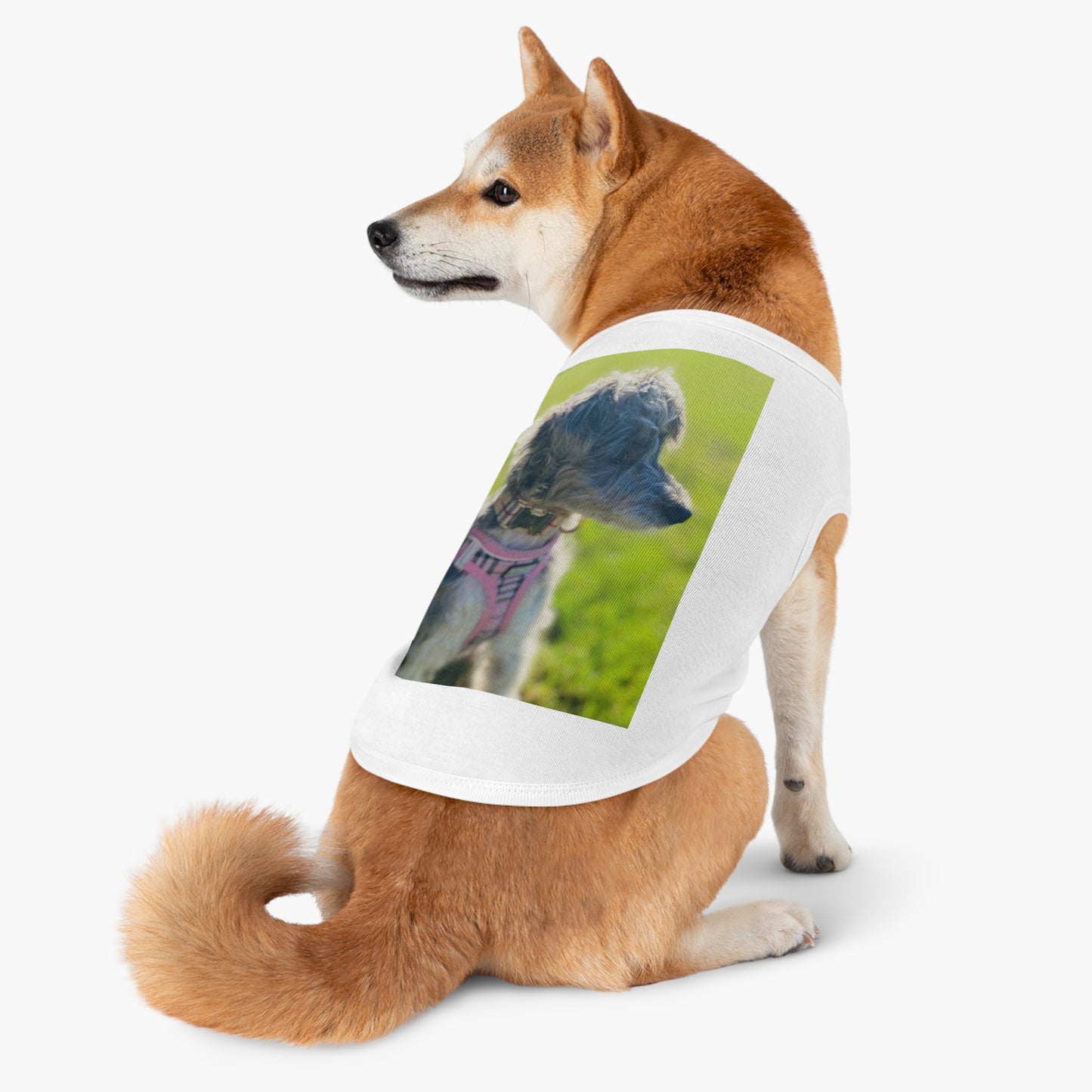 Pet Tank Top