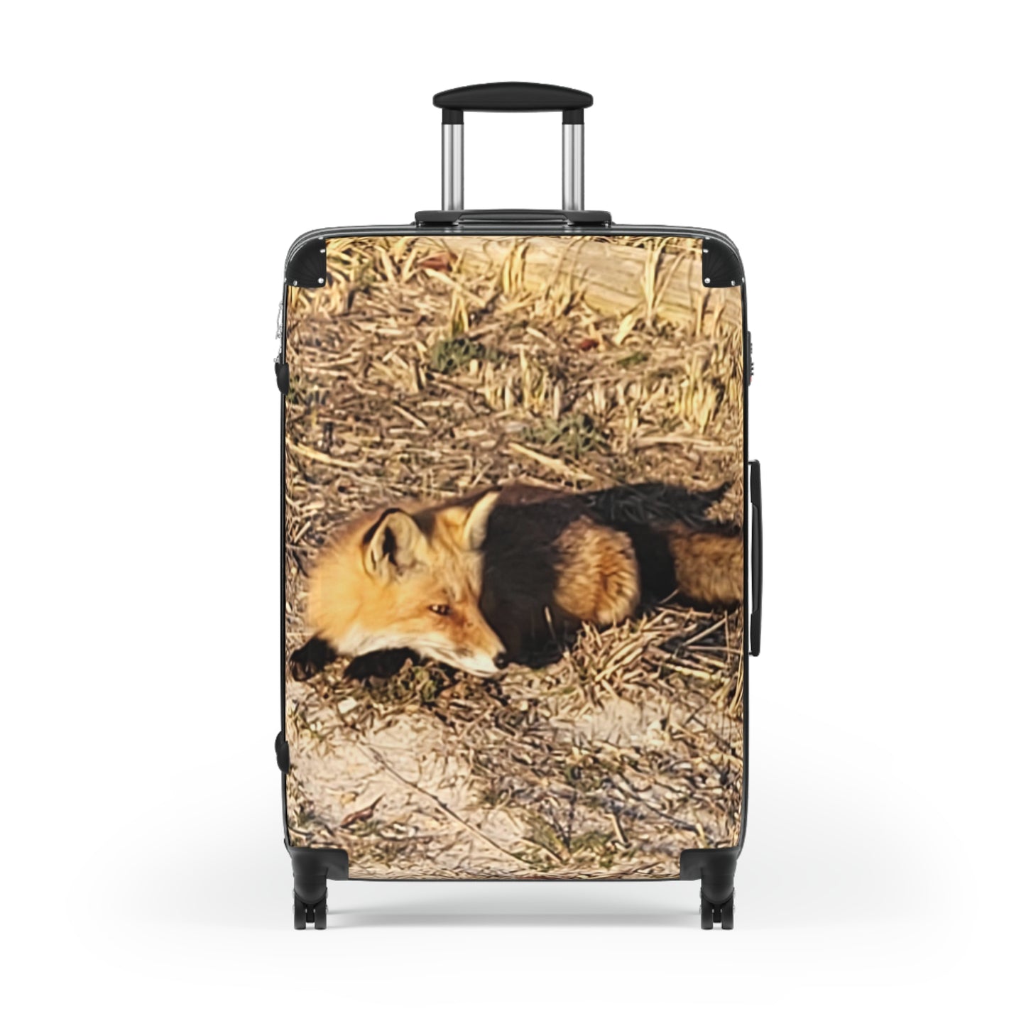 NJ Shore Fox - Island State Beach Park - Suitcase