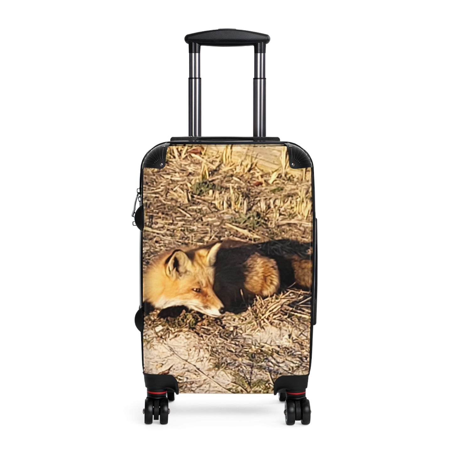 NJ Shore Fox - Island State Beach Park - Suitcase