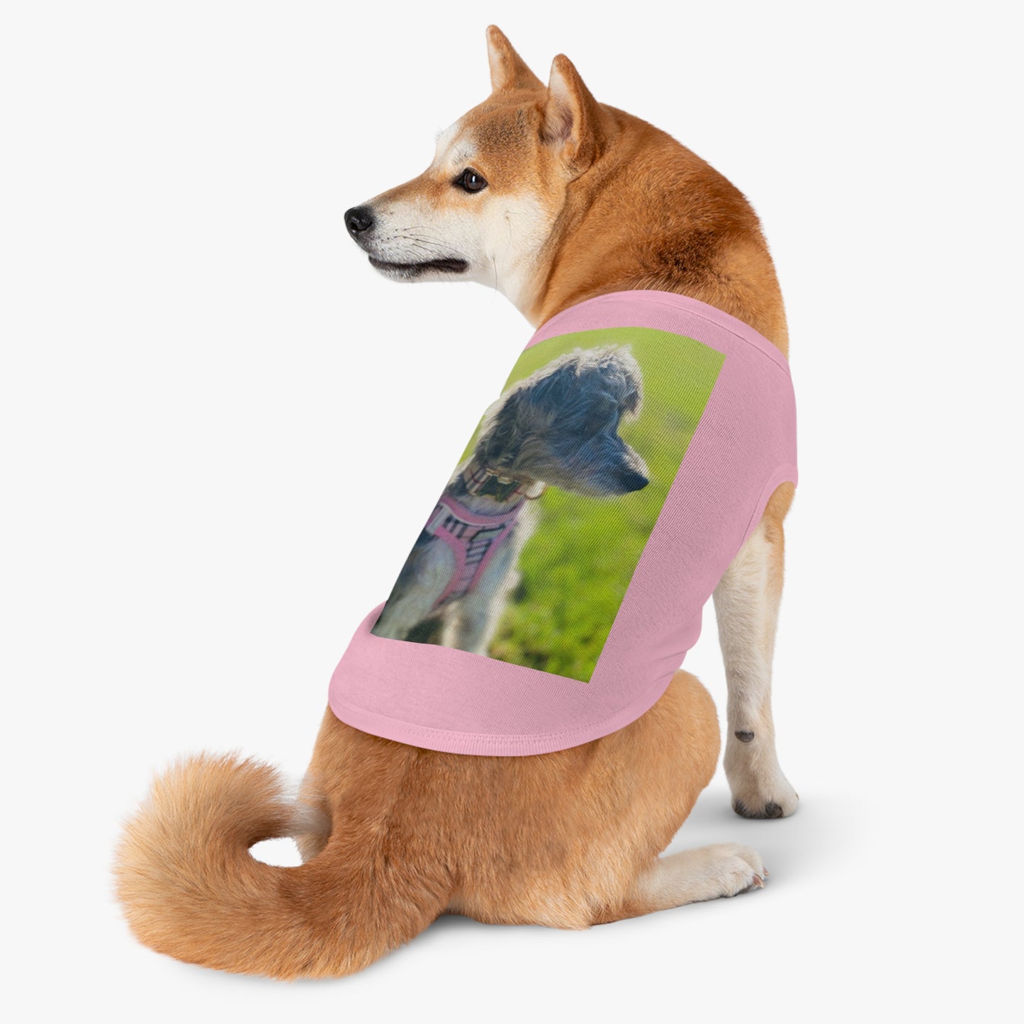 Pet Tank Top