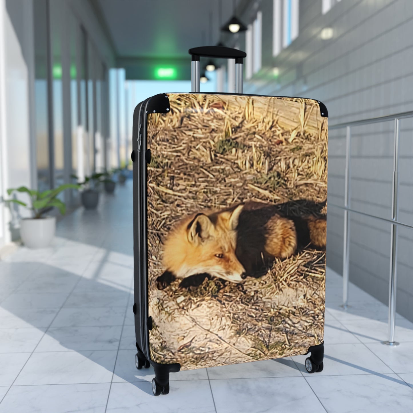 NJ Shore Fox - Island State Beach Park - Suitcase