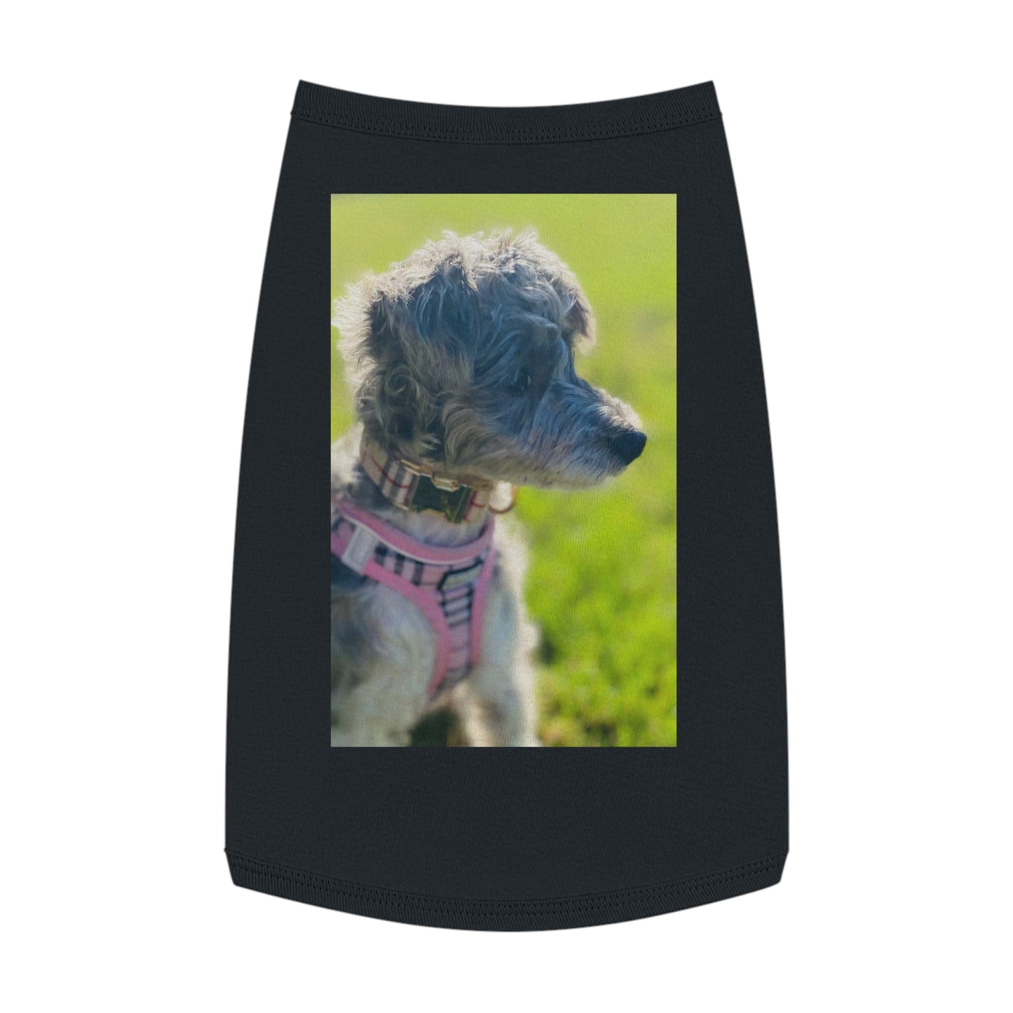 Pet Tank Top